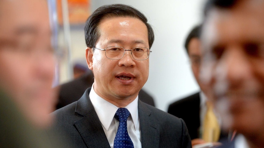 Chinese ambassador Ma Zhaoxu