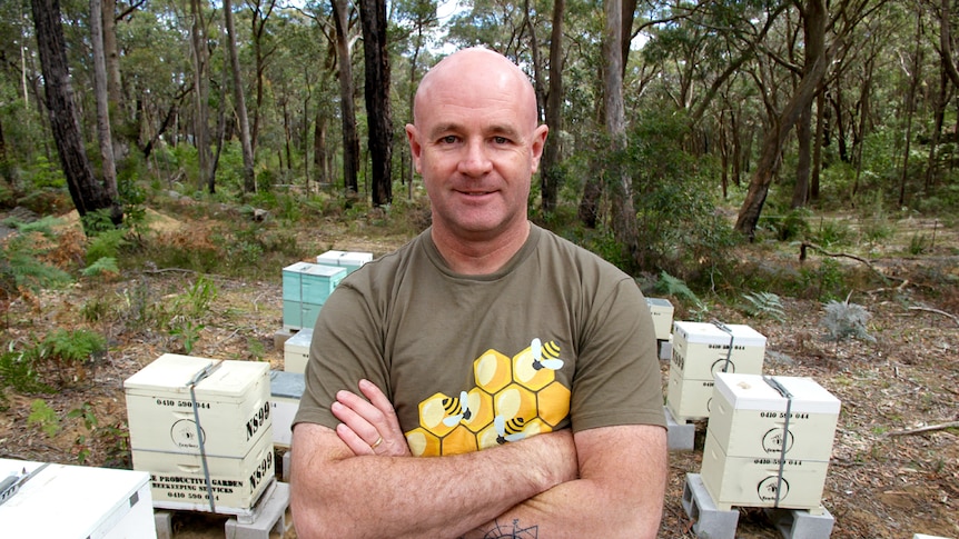 John Scott stands in front of his hives with arms folded.