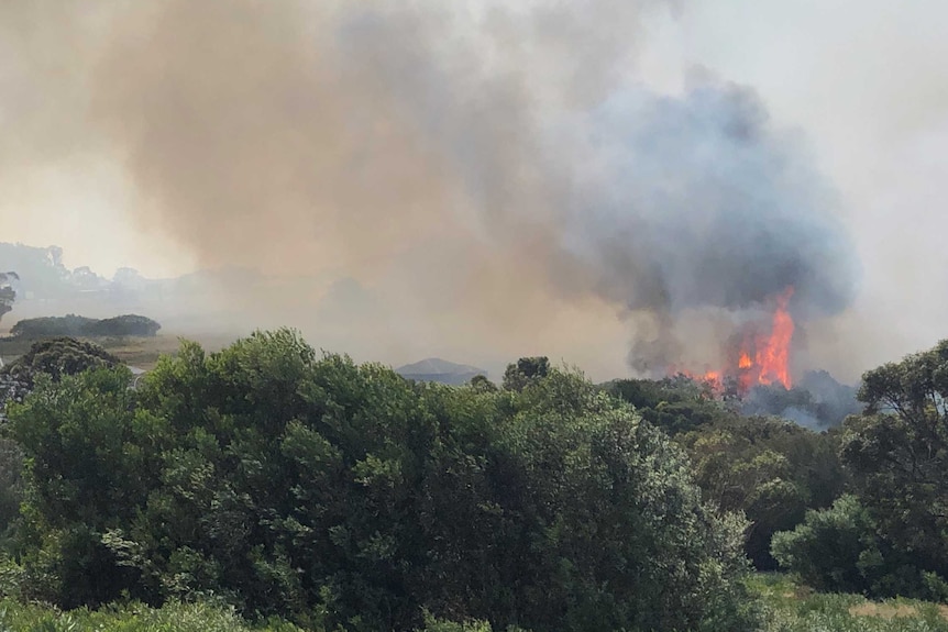 A fire can be seen over the top of some trees.