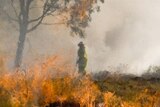 Total fire bans are in place across most of Qld.