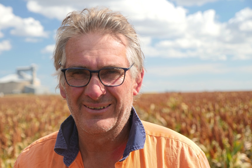 A man standing in his sorghum crop, wearing glasses and a serious expression.