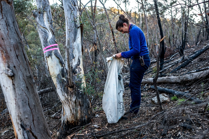 Woman standing in forest looking into a white sack