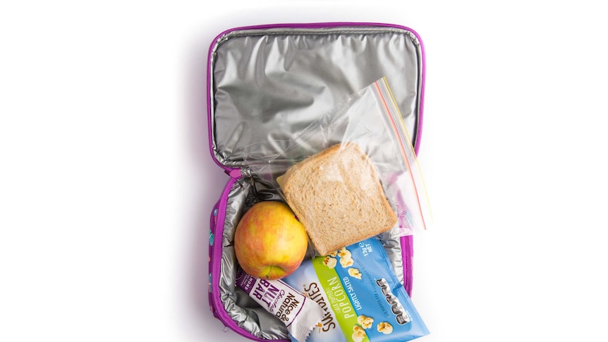 A cheese and vegemite sandwich, a chocolate nut bar, salted popcorn and an apple and a purple cooler bag.
