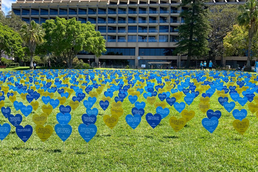 A grass field with hundreds of cardboard heart cutouts sticking out of the ground.