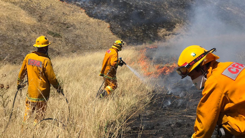 CFA workers fight a grassfire