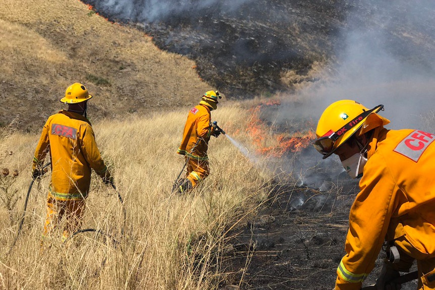 CFA workers fight a grassfire