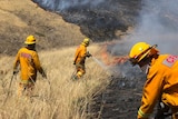 CFA workers fight a grassfire