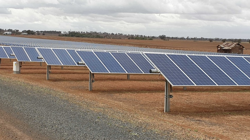 Several rows of solar panels on a farm, with a road in the foreground and a grey sky