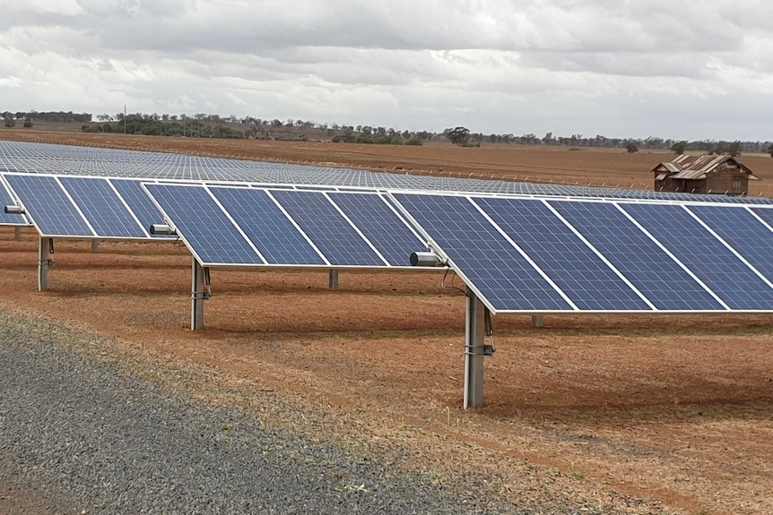 Several rows of solar panels on a farm