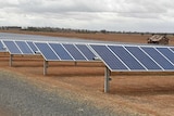 Several rows of solar panels on a farm, with a road in the foreground and a grey sky