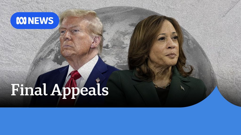 How could 'shy' voters affect the US election? ABC News