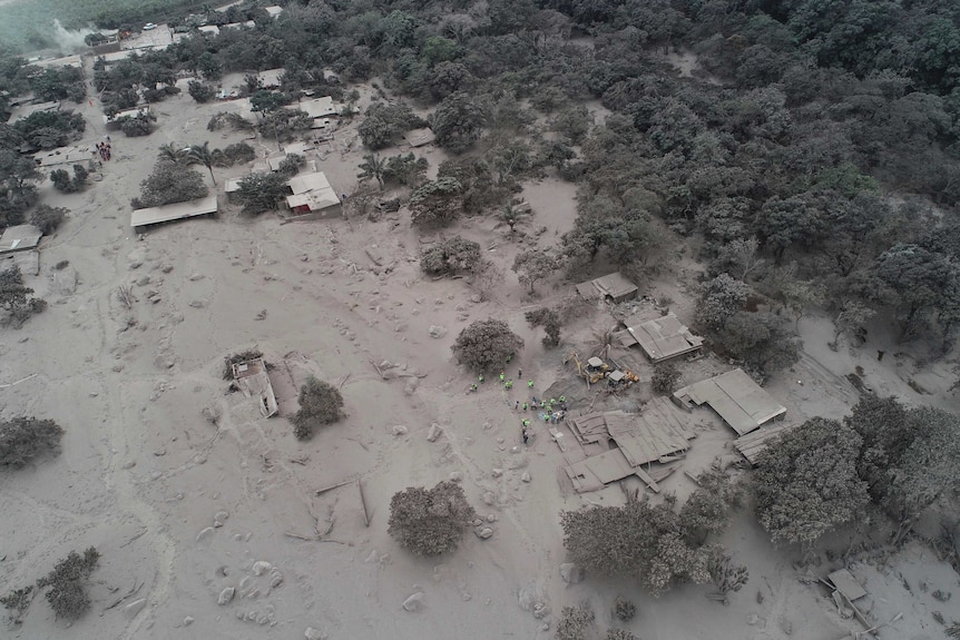 Volcanic ash blankets homes and trees near the Volcan de Fuego.