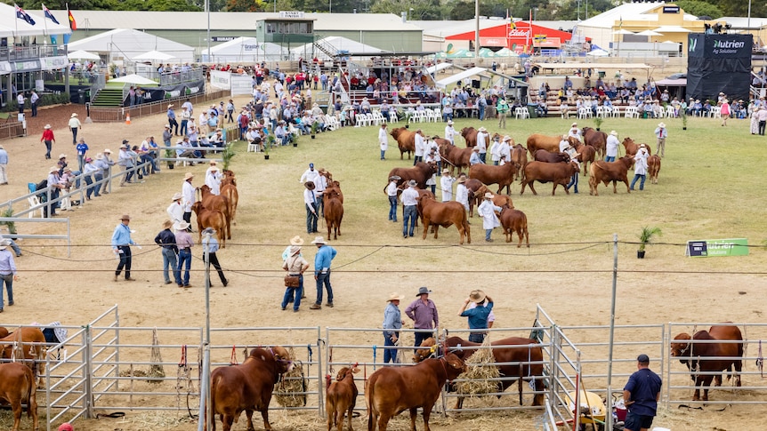 Beef 2021 remporte le prix du tourisme d’or après avoir réussi un événement que beaucoup pensaient impossible