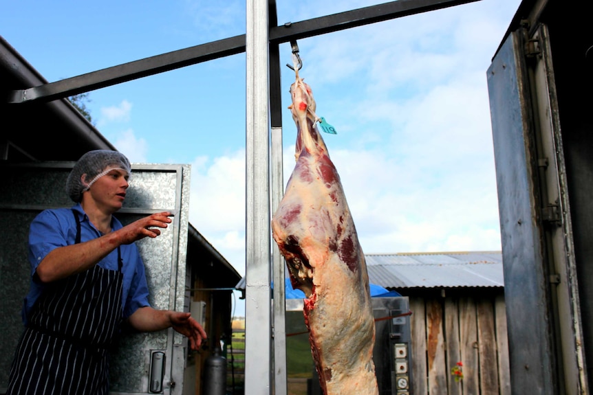 A butcher waits to receive a beef carcase.