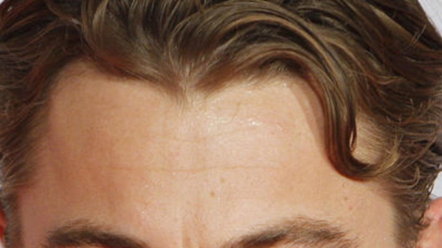 Actor Leonardo DiCaprio