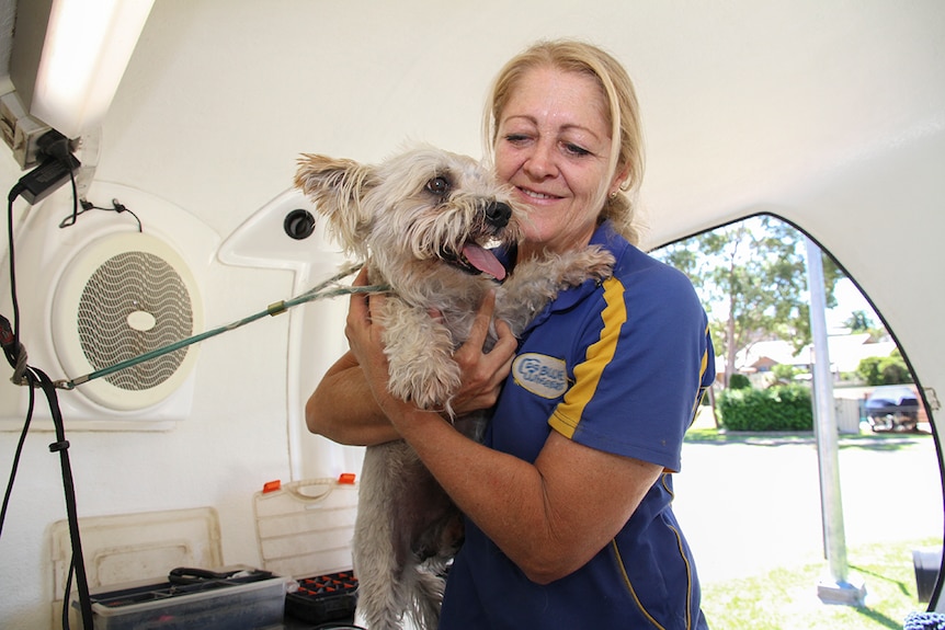 A woman in a blue corporate shirt poses with a small white furry terrier dog.