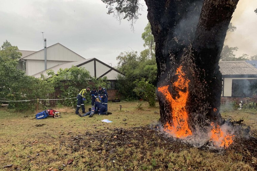 paramedics treating a woman while a tree burns nearby