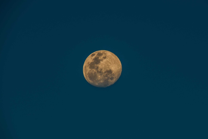 Close up of full moon photographed from Footscray in Melbourne, Australia.