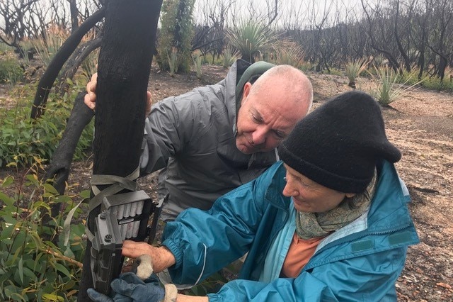Two people work on a device attached to a tree in a burned landscape.