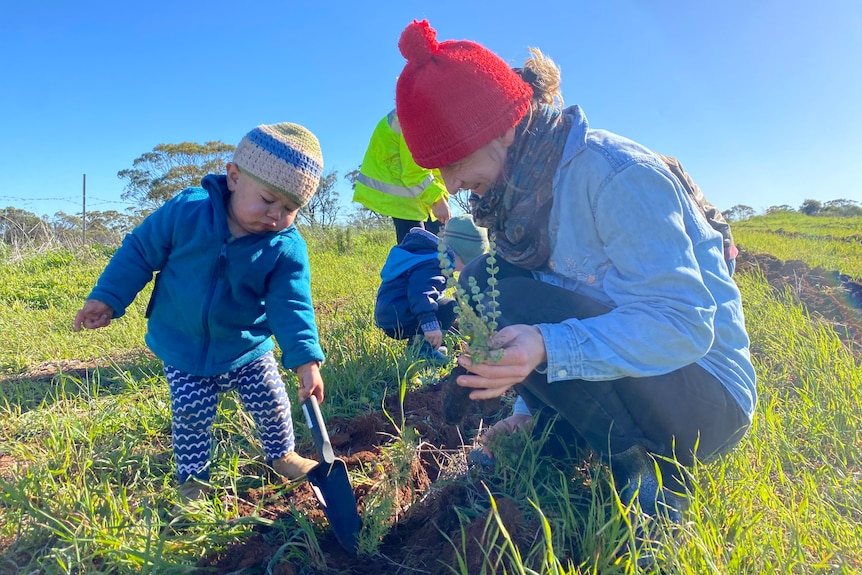 Toddler plants tree, helped by his mum.