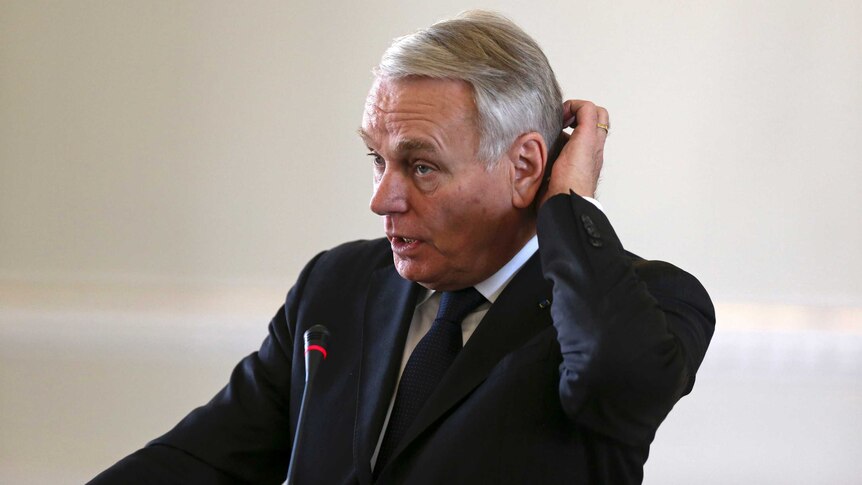 French Foreign Minister Jean-Marc Ayrault speaks during a joint press conference.