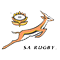 Springboks logo
