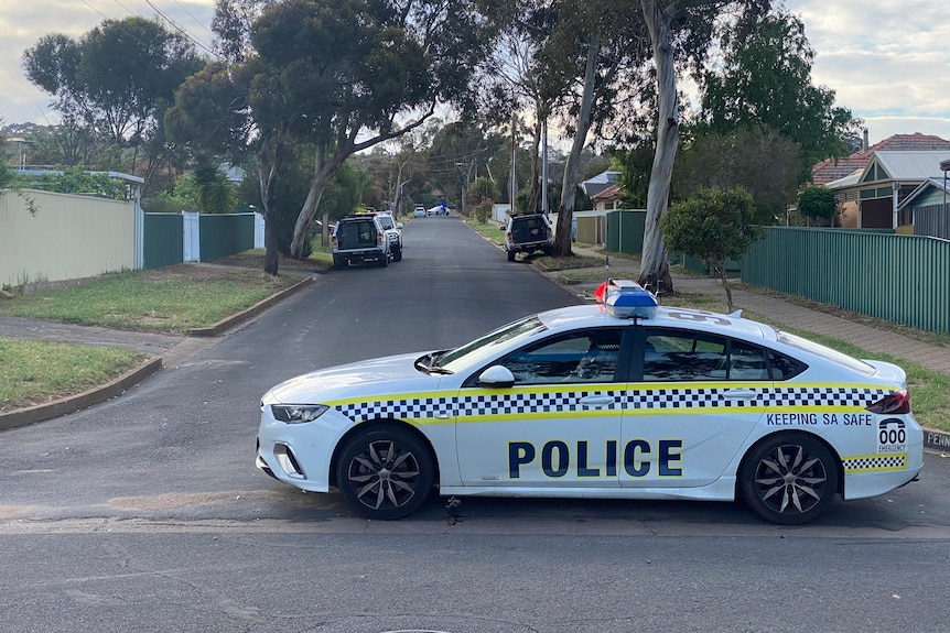 A police car parked over a street entrance