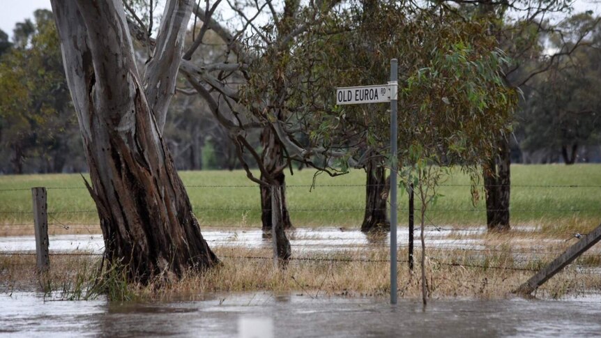 Waters rise on Old Euroa road.