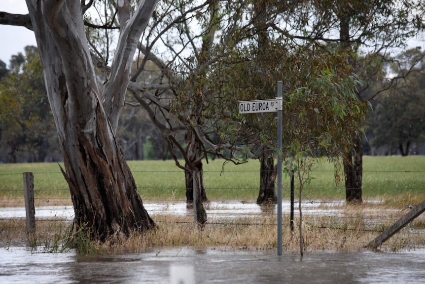 Waters rise on Old Euroa road.