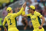 Winning start ... Mitchell Starc and George Bailey celebrate the removal of Ian Bell