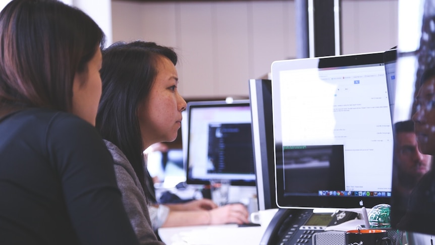 Women in an office work at a computer