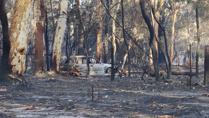 Burnt-out car in bushfire at property near Noosa.