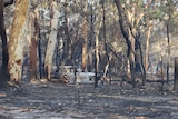 Burnt-out car in bushfire at property near Noosa.