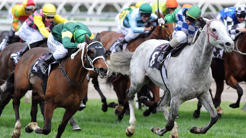 Foreteller wins Makybe Diva Stakes