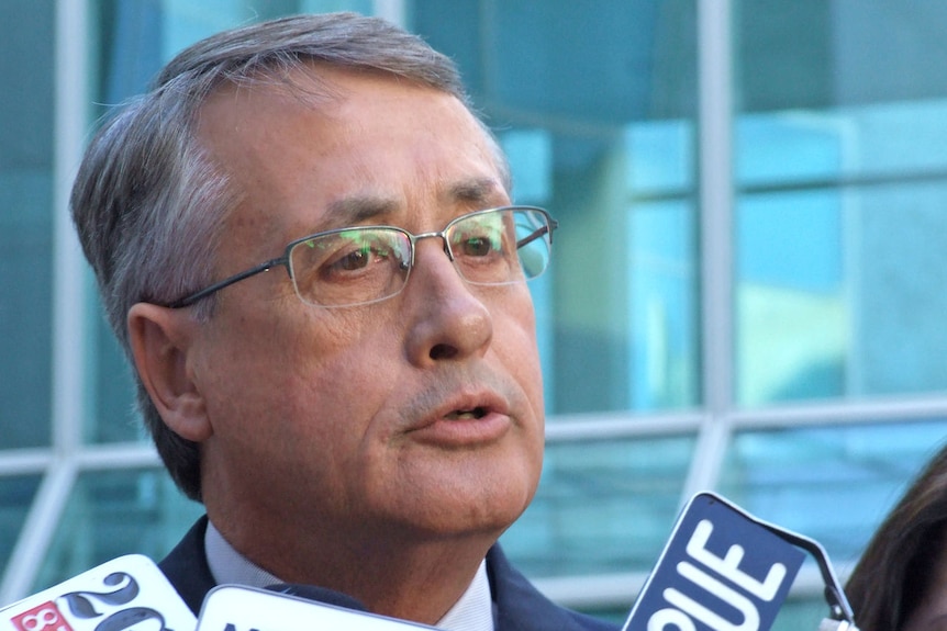 Wayne Swan ... 'It's a much more difficult backdrop' (File photo)