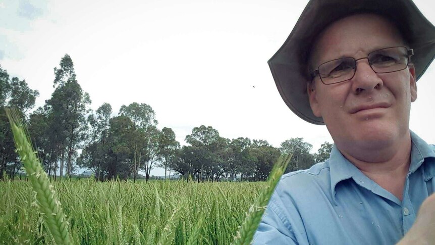 a man with a hat in a greeb field of grain.