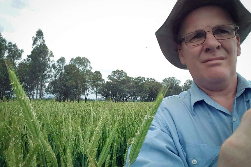 a man with a hat in a greeb field of grain.