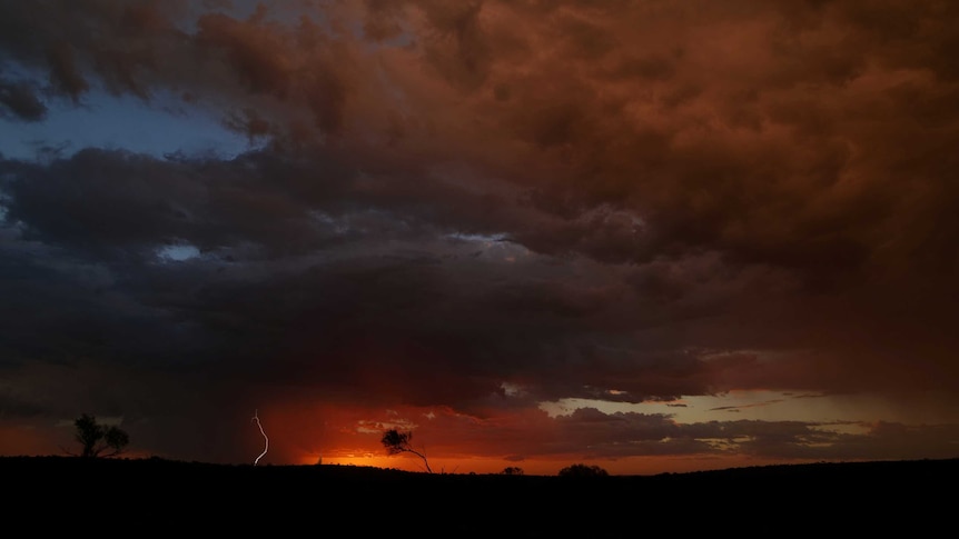 Sky coloured grey and orange, with silhouette of trees, and lightening spark