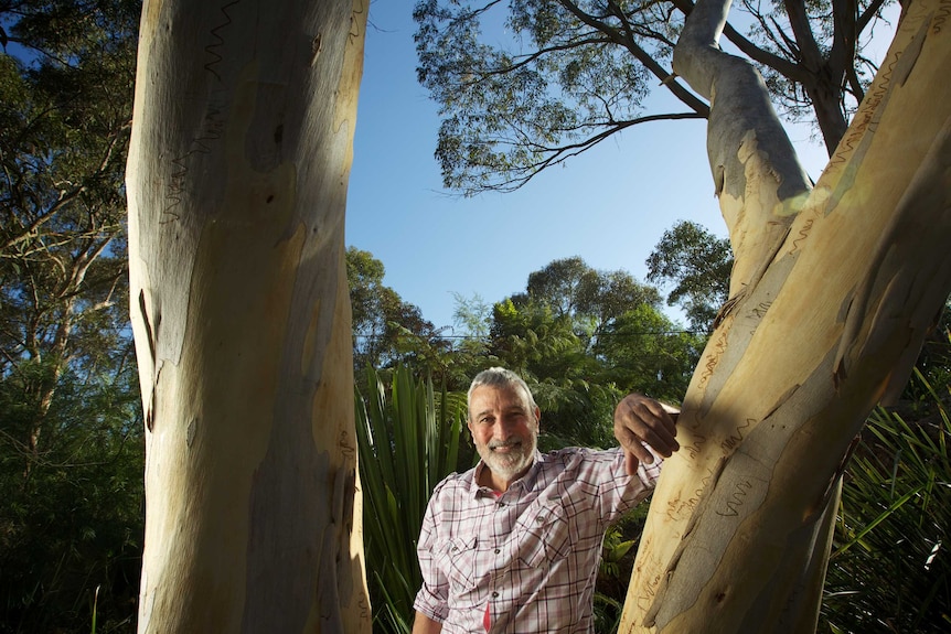 Gardening guru Don Burke