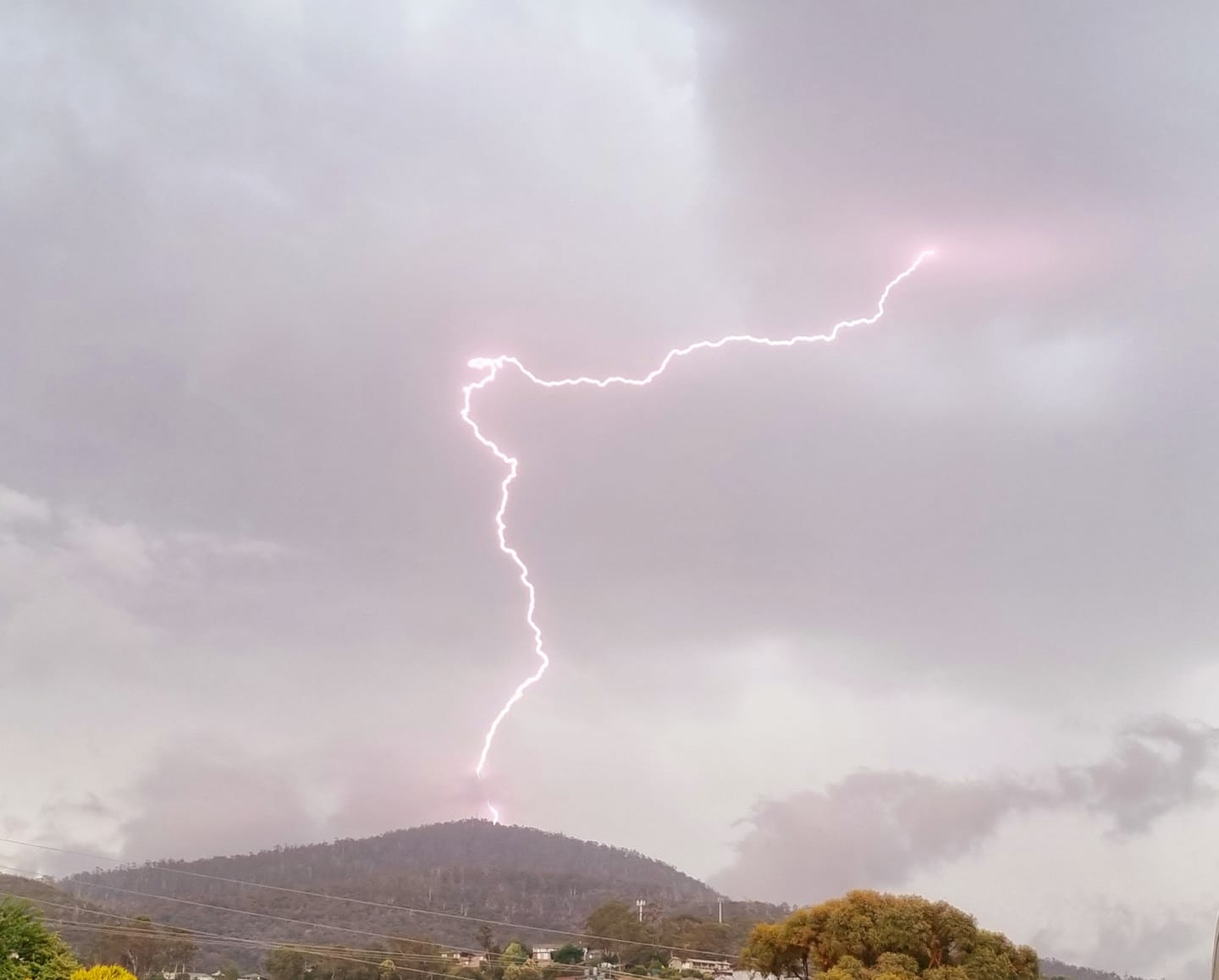 Love at first sight in Hobart.