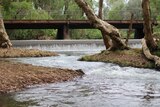 the katherine river with trees and a bridge in the background