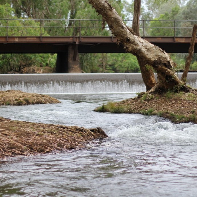 the katherine river with trees and a bridge in the background