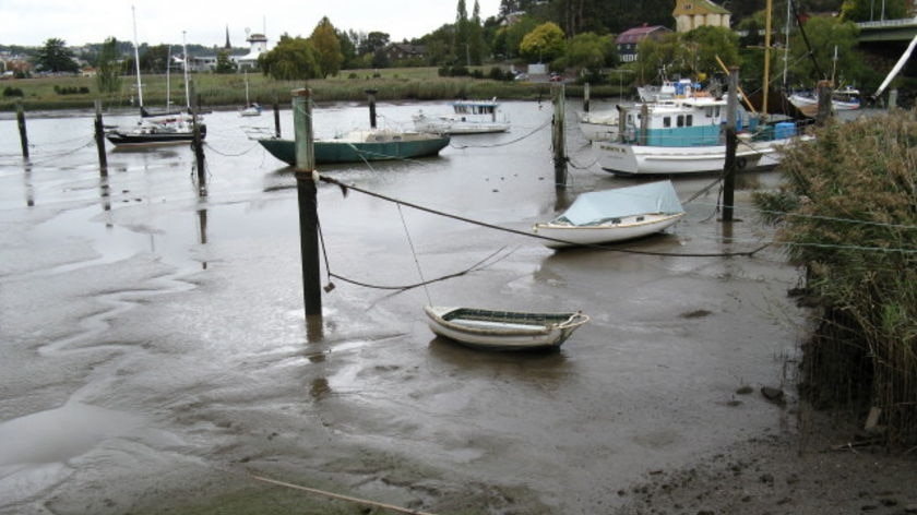 The group says their plan for the Tamar River could solve its silt problem.