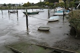 The group says their plan for the Tamar River could solve its silt problem.