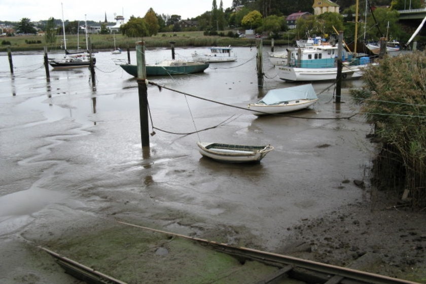 Tamar River Launceston, showing siltation problem