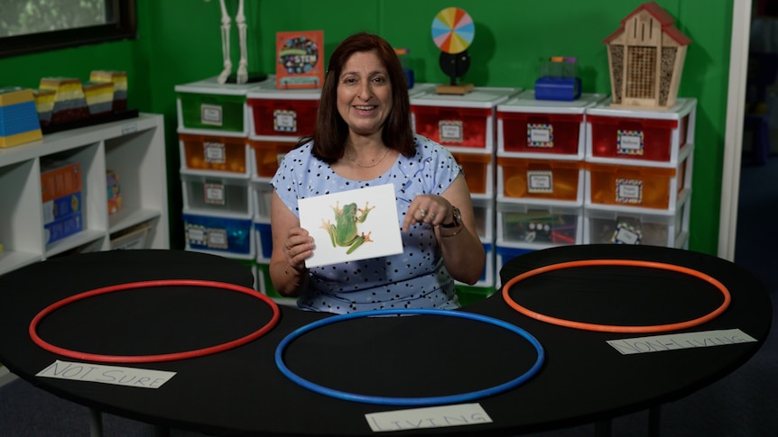 Female teacher in classroom holds picture of frog