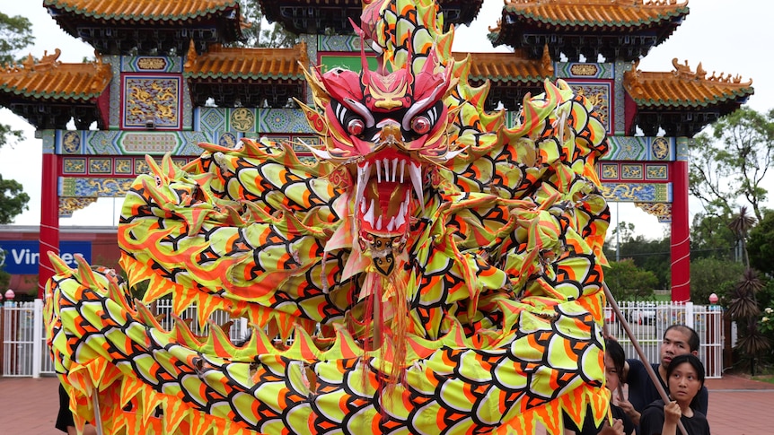 A dragon puppet coiled up in front of a large traditional Chinese gate
