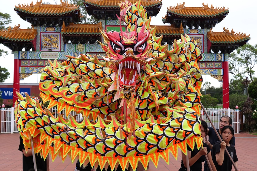 A dragon puppet coiled up in front of a large traditional Chinese gate