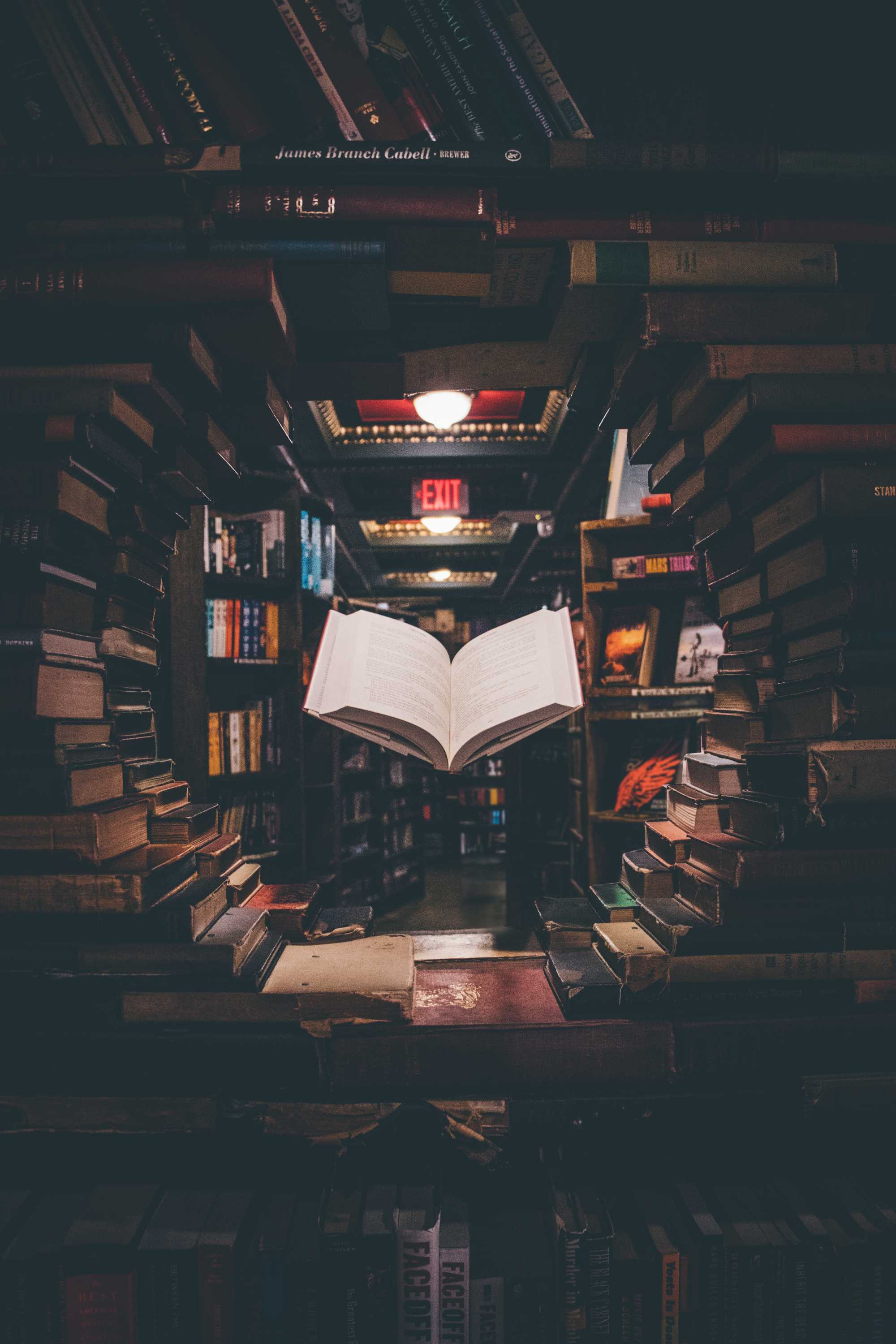On Anna Seghers' The Seventh Cross, Tiffany Tsao's Under Your Wings and books by Edward St Aubyn and Roland Schimmelpfennig episode artwork