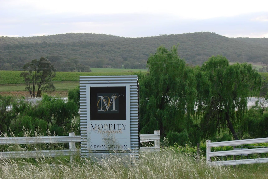 A man standing on the black plastic lid of a large dam for irrigating winegrapes at Moppity vineyard Young New South Wales